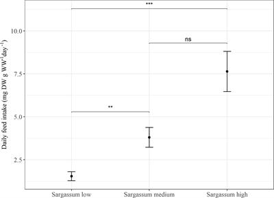 Frontiers | Appetite in captivity - feeding studies of the red sea